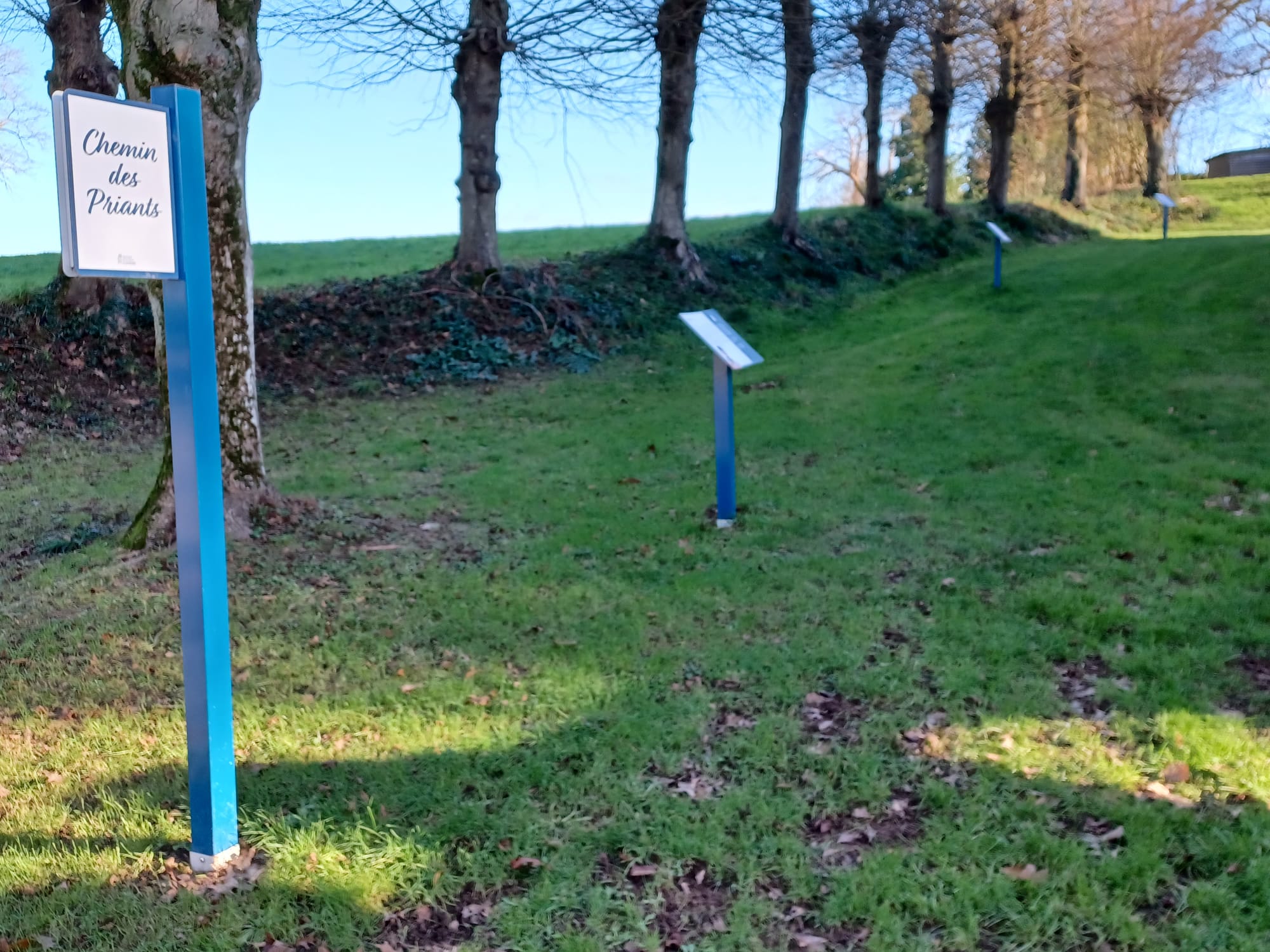 1b1ed88f-5d32-40d1-9c7e-fd77386a1e82