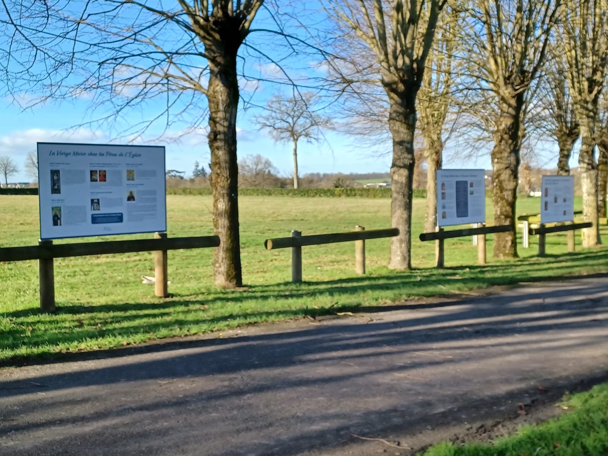 85caea55-318d-4942-858e-ee05fee3d817